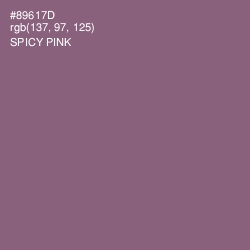 #89617D - Spicy Pink Color Image